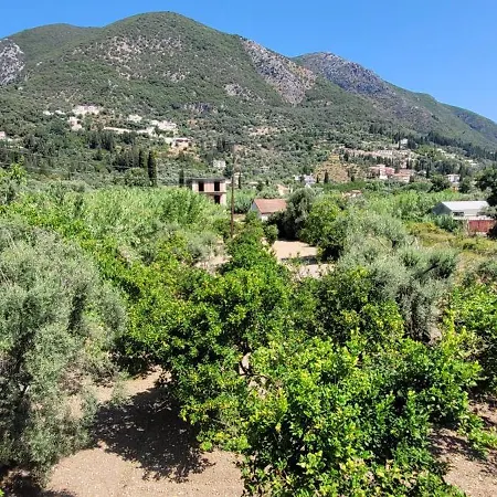 Petros 게스트하우스